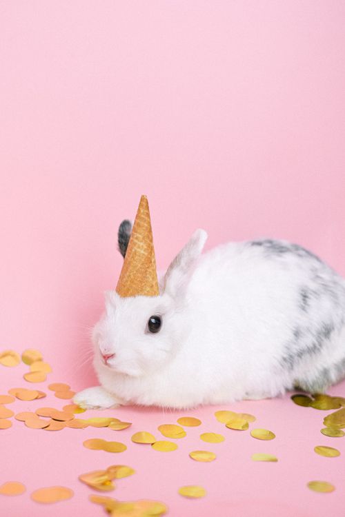 ふく