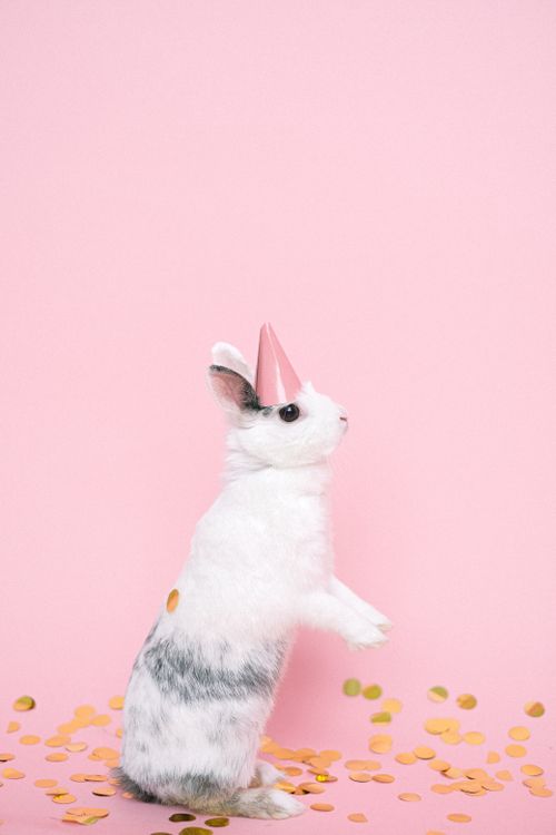 ゆき